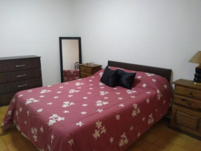 Departamento céntrico Lemos